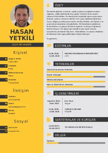 Havacılık Ve Uzay Uçak Mühendisi Cv Örnekleri cv indir